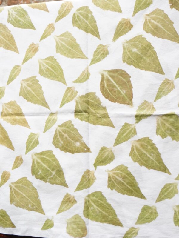 Puspa Ecoprint Fabric