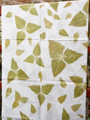 Kanti Ecoprint Fabric