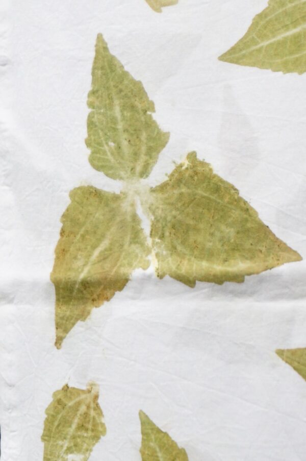 Kanti Ecoprint Fabric
